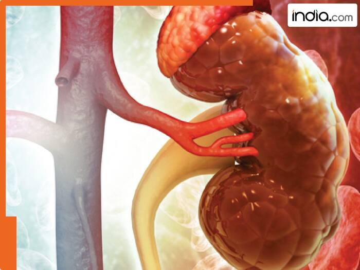 Five food damage kidney