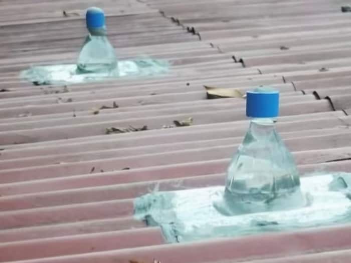 Talented dadi ka Video