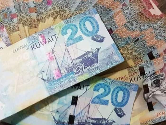 Kuwait currency 6