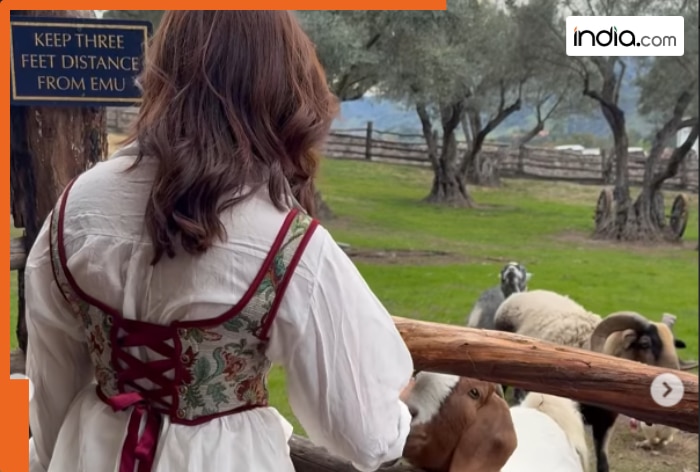 Meet actress who’s dating Suniel Shetty’s son Ahan, worked with Riteish Deshmukh, appeared in Bigg Boss OTT 2, she is…  