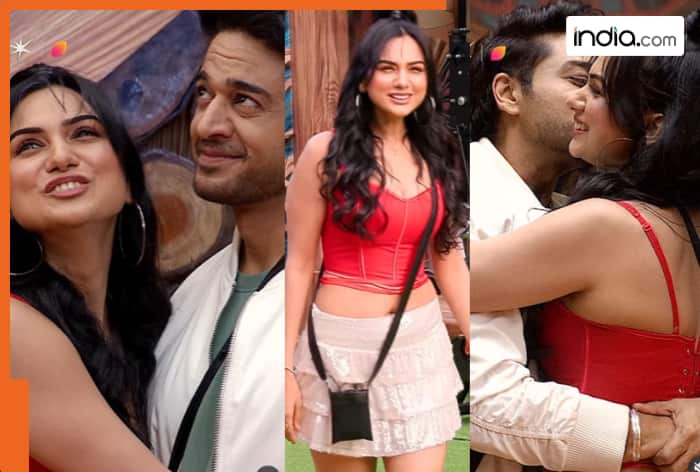 Bigg Boss 19: Gaurav Khanna's priceless reaction to wife Akanksha's surprise entry breaks internet, says, 'Main adult wali...'- watch