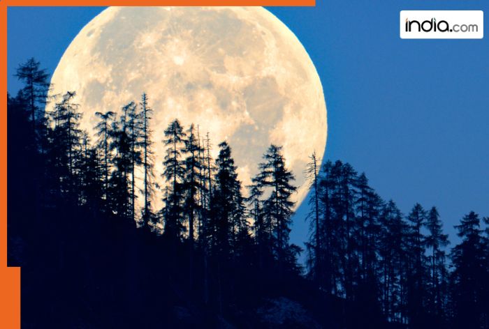 Moon to get closest to the Earth on THIS Date! When and how to watch November supermoon