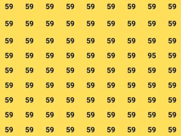 59                                                                                                    95                                                                                 