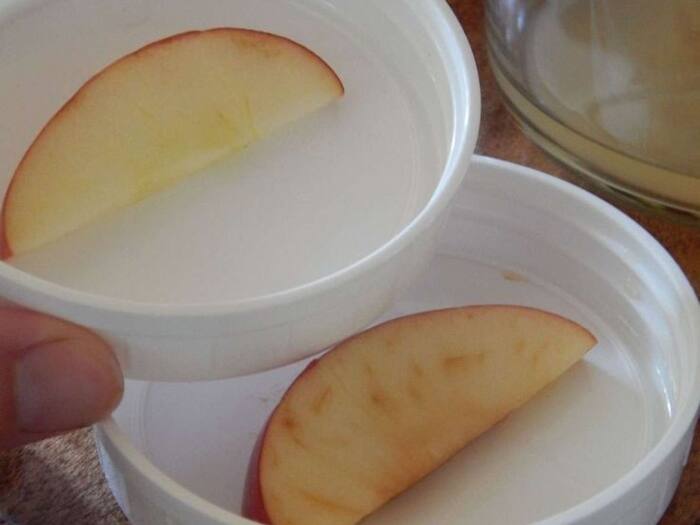 Scientific Reason Apple BROWNS