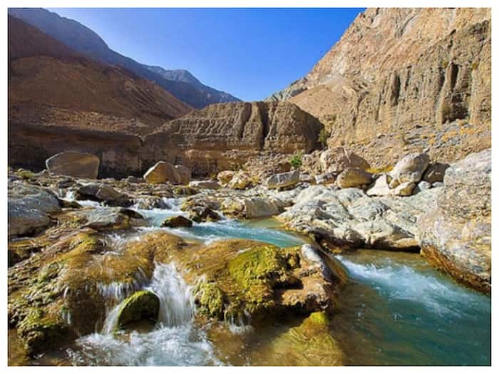 Balochistan Meat Preference