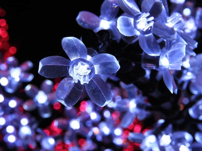 Blue Christmas 2025 Meaning And Rules