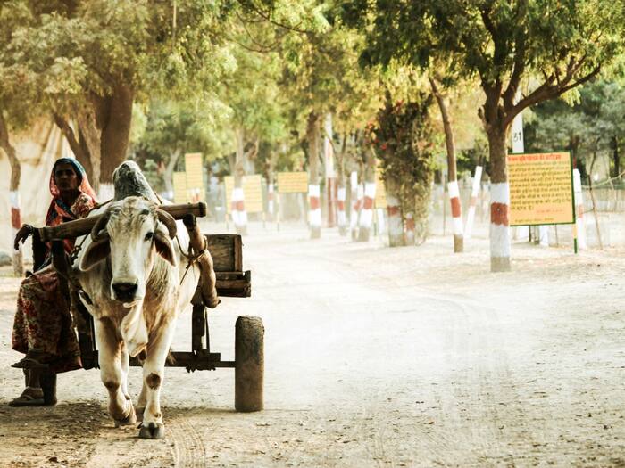 Child Marriage Rate In India By State