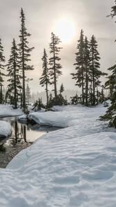 भारत के 5 सबसे ज्यादा ठंडी जगहें, जहां माइनस में रहता है तापमान