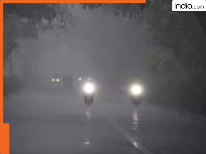 IMD Weather Forecast, Severe cold wave, snowfall, Weather Forecast, cold, India Meteorological Department, fog, Himachal Pradesh, Punjab, Haryana, Uttar Pradesh, Uttarakhand, Bihar, Delhi-NCR, Madhya Pradesh, Jammu and Kashmir, Delhi-NCR, Delhi, NCR, Sikar, Jhunjhunu, Churu, Rajasthan