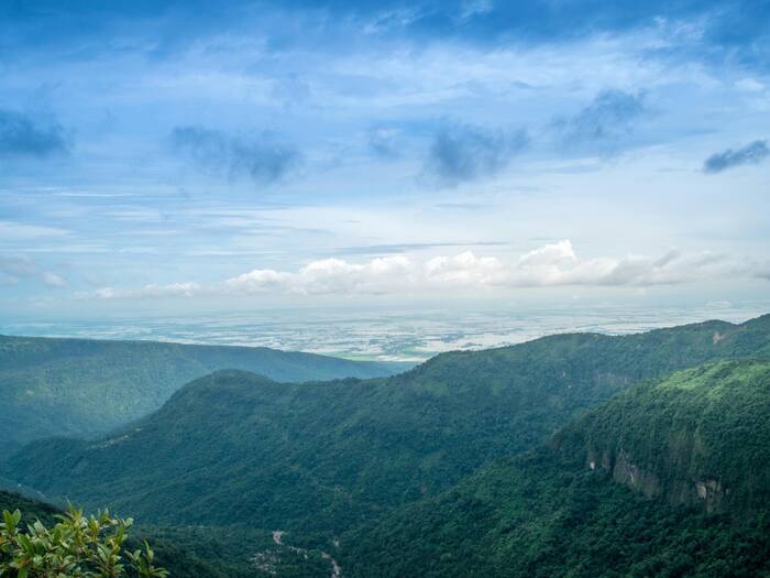 Meghalaya Living Root Bridge Photos
