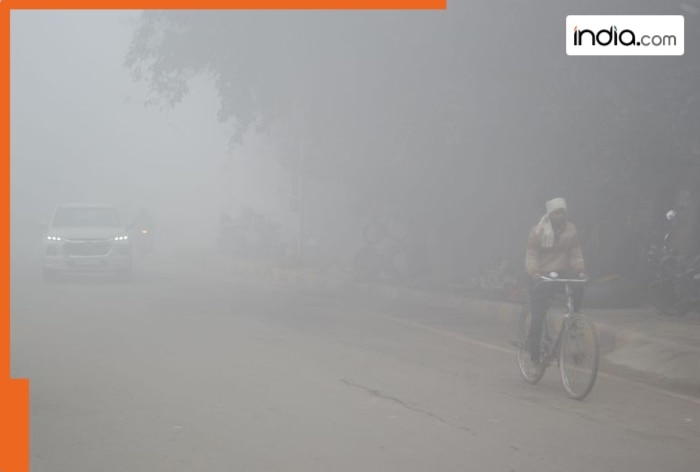 IMD forecasts dense fog in Delhi, issues Orange Alert, SpiceJet and IndiGo share advisories with passengers; Details inside