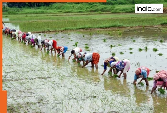 India’s economy, G Ram Ji, Developed India Guarantee for Employment and Livelihood Mission Bill, Lok Sabha, Mahatma Gandhi National Rural Employment Guarantee Act, MGNREGA 2005, rural employment, employment, digital system, GPS