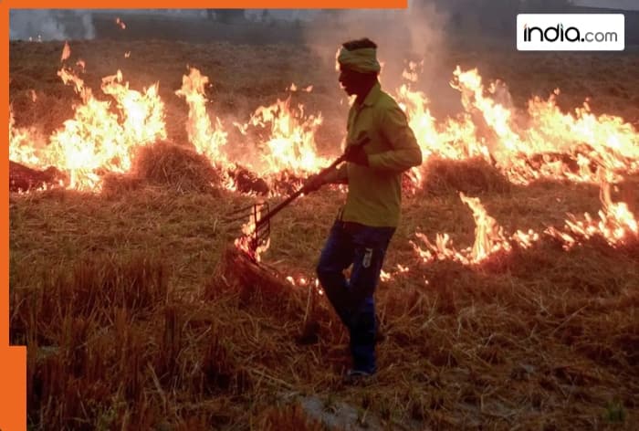 Stubble, COVID-19, CJI, Surya Kant, New Delhi, Delhi-NCR, Delhi, NCR, Supreme Court, ASG, Aishwarya Bhati, Punjab, Haryana, Uttar Pradesh, CPCB