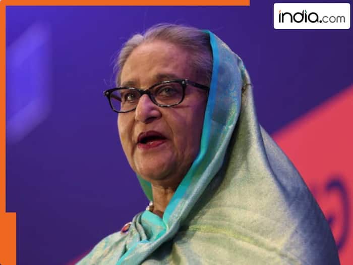 Sheikh Hasina delivers first 'fiery' public speech since leaving Bangladesh