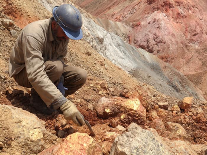 South Khorasan gold treasurer