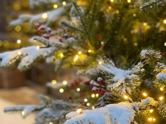 Strict Christmas Laws Around The WorldCountries With No Christmas Celebration Allowed