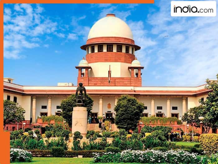 Supreme Court imposes Rs 100 crore fine on 10 dental colleges, asks 'Failed NEET, still got BDS admission?'