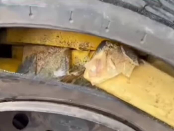 International drug trafficking