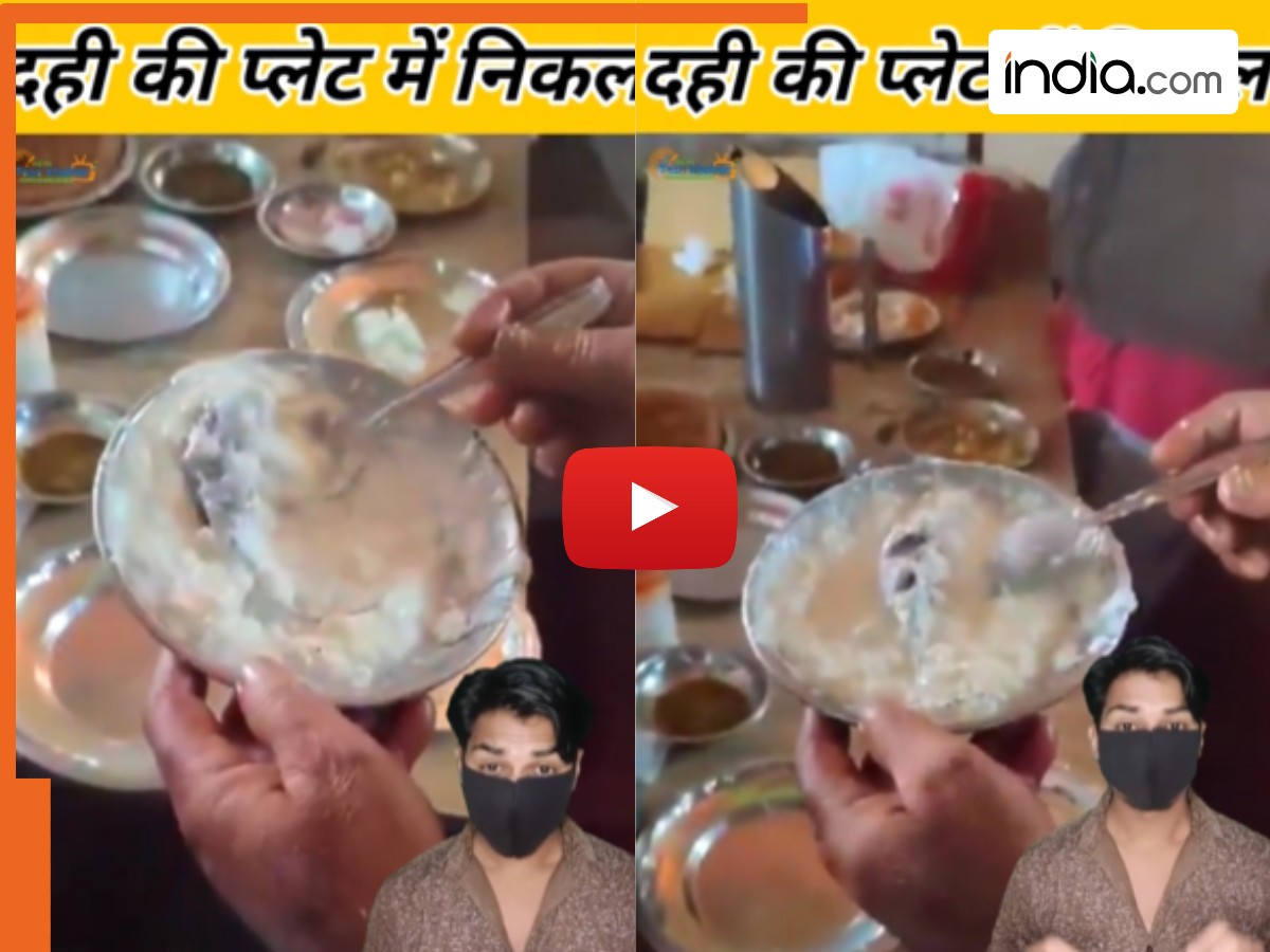 Viral Video: चम्मच से दही निकालने लगा शख्स, मगर निकल गया मरा हुआ चूहा