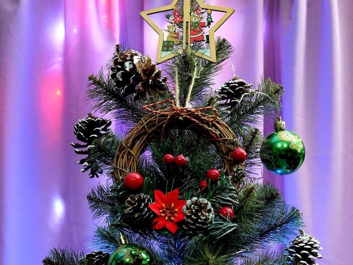 Ukraine Poland Christmas first star spider web tree