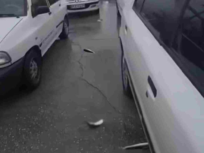 Fish raining city Yoro  America