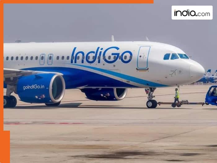 Attention travellers: Air India and IndiGo airlines have issued travel advisory on flight operations in Delhi, passengers should know...
