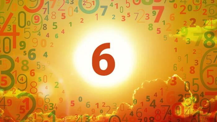 Number 6 1683022375