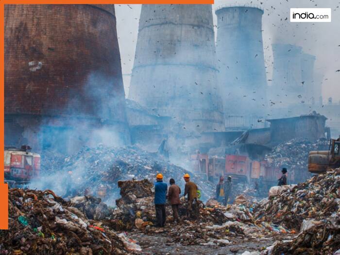 Overseas waste incineration projects