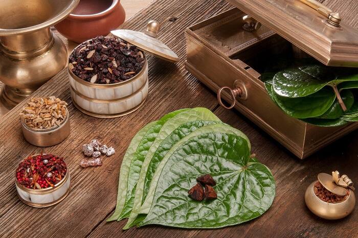 Betel leaf benefits