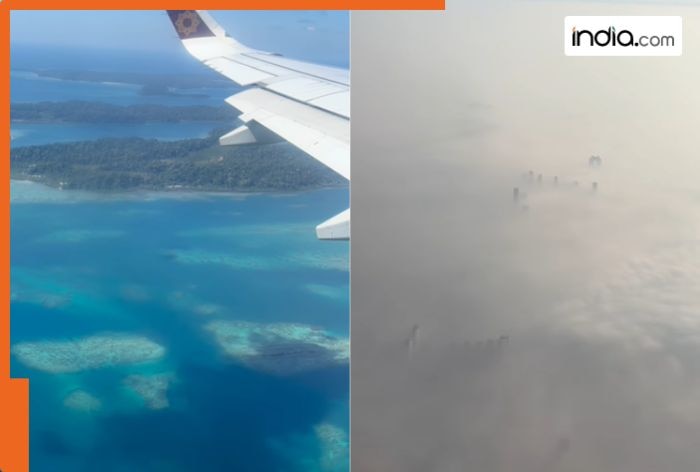 WATCH: Video of Delhi amid thick smog goes viral, claims '800+ AQI', people say, 'can smell pollution...'