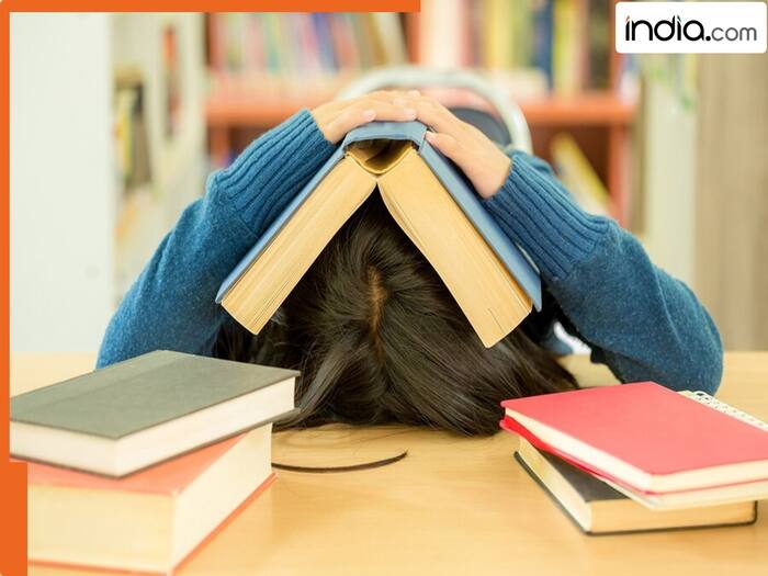 India education system  largest education network