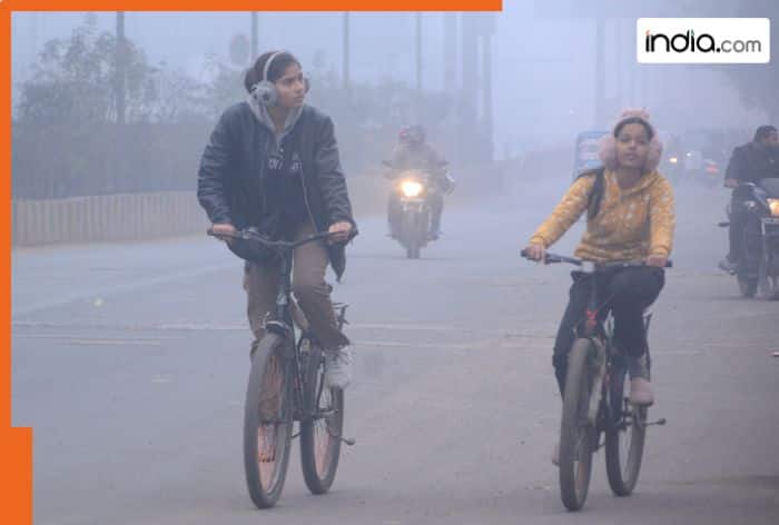 IMD Weather Update today: Dense to very dense fog conditions likely to continue in Bihar, Uttar Pradesh, Haryana, Chandigarh, Punjab till..., rainfall alert in...
