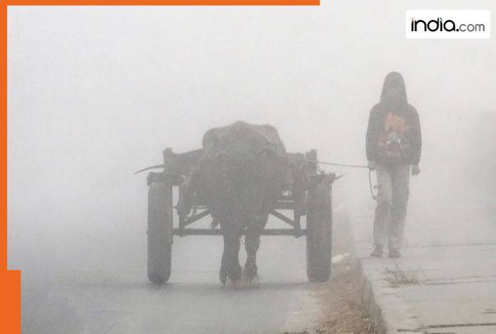 IMD Weather update today: Dense to very dense fog conditions likely to continue in Uttar Pradesh, Bihar, Haryana, Punjab, yellow alert for…; check Delhi-NCR weather forecast