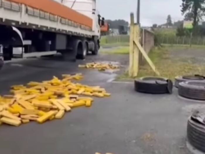 Highway drug seizure Brazil