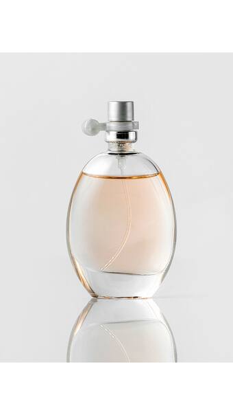 Everyday Wear Perfume for Women