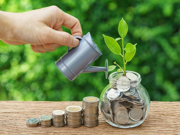 Financial management