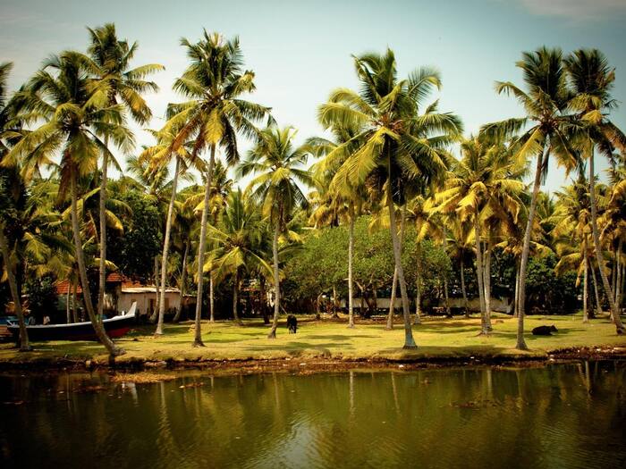 Best Places To Visit In Alleppey Kerala