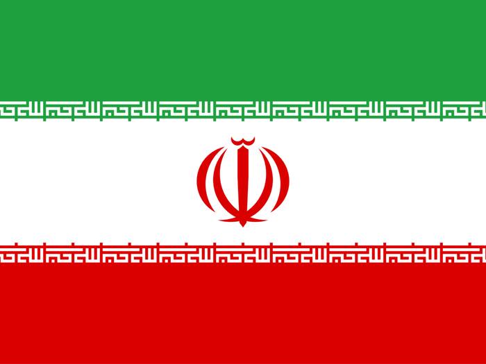 Iran military