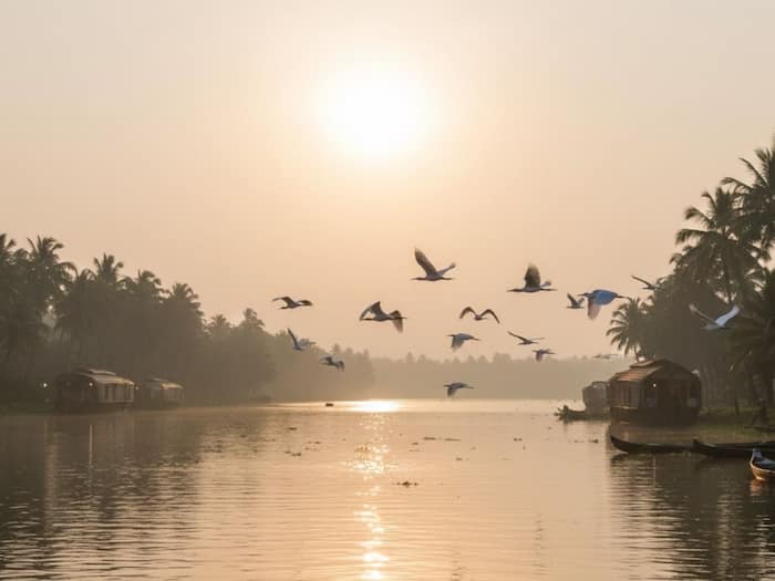 Kumarakom backwaters