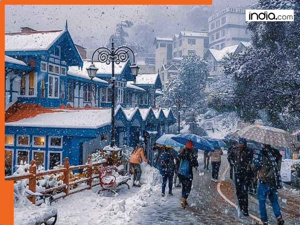 Snowfall in Manali, Shimla, temperature drop in Delhi, cold wave and fog alert: Check detailed IMD weather forecast for North India