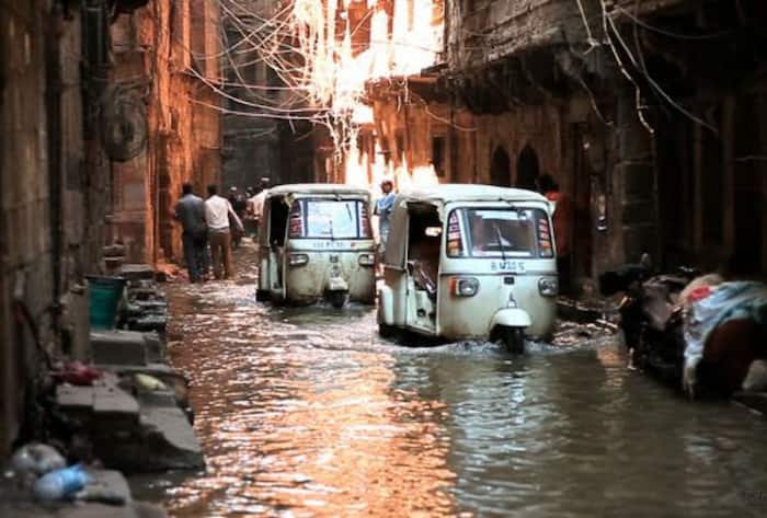 Nature journal study