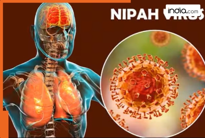 Nipah virus creates stir after cases detected in West Bengal; Can cause COVID like epidemic and how does it spread?