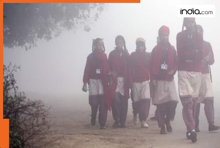 Schools, Lucknow, cold wave, Uttar Pradesh, fog, sunshine, Deoria, Gorakhpur, Sant Kabir Nagar, Kushinagar, Maharajganj, Siddharth Nagar, Balrampur, Etawah, Bahraich, Gorakhpur