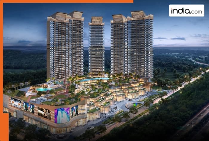 Operation Real Loot, Gurugram, New Delhi, M3M Group, real estate company, Delhi NCR, Delhi, NCR, Zee News, Delhi High Court, DLF Camellias