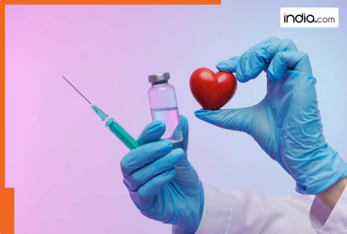 US scientists reveal new insights into how the brain influences heart attacks