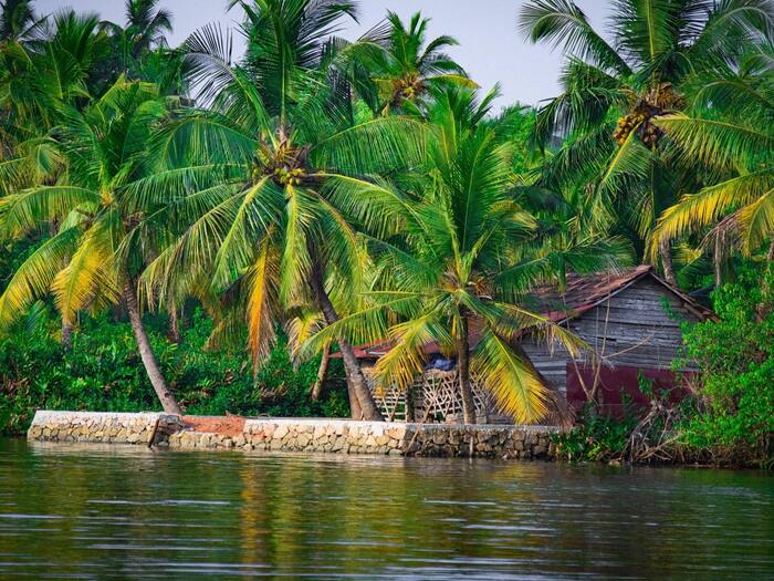 Venice Like City In India Backwaters