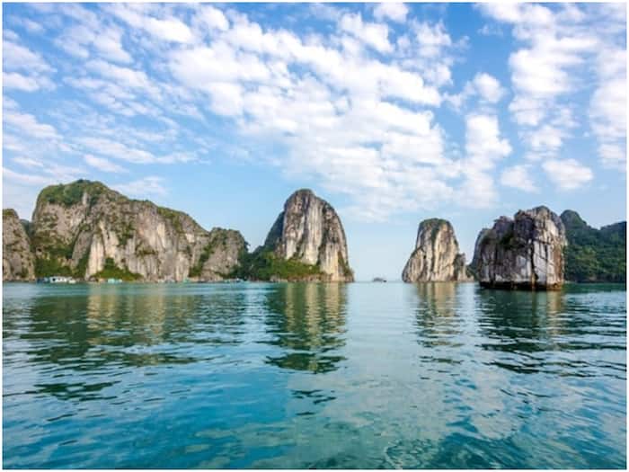 Vietnam New Year 2026 tourists