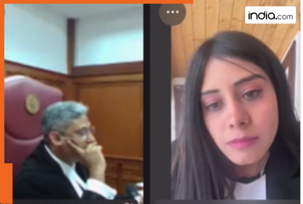 Delhi HC judge praises woman advocate for attending hearing from J&K's Sonmarg at -23 C | Watch viral video