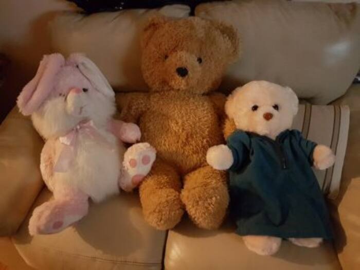 Emotional comfort toys