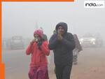 गुरुग्राम में शून्य के करीब तापमान! 0.6°C तक गिरा पारा, आखिर क्यों मैदानी इलाकों में हो रही पहाड़ों जैसी ठंड